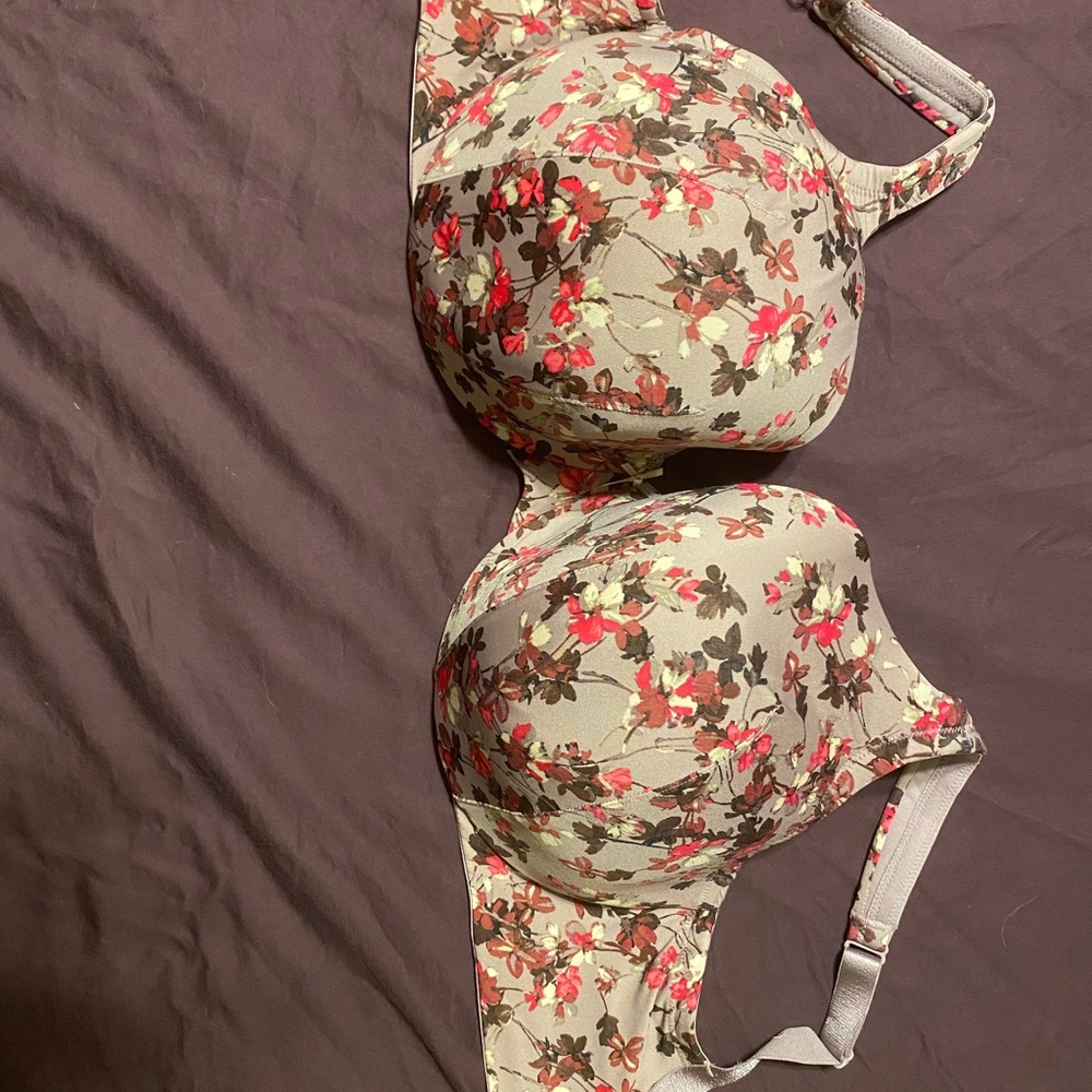 Cacique Bra
